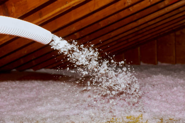 Best Insulation for New Construction  in India Hook, SC