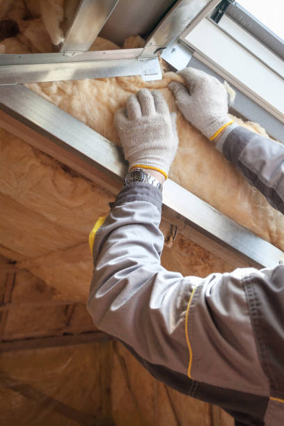 Best Local Insulation Services  in India Hook, SC