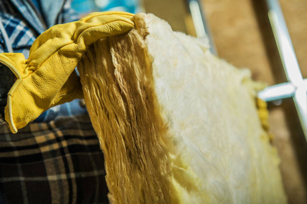 Best Insulation Repair Services  in India Hook, SC