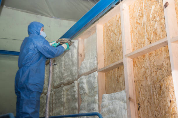 Best Insulation Removal  in India Hook, SC