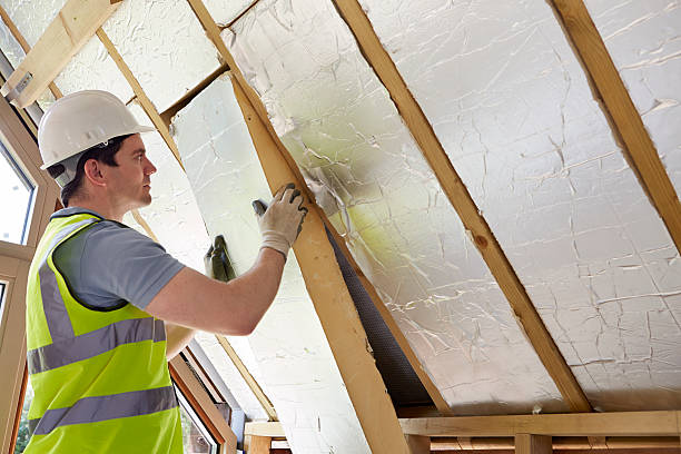 Best Energy-efficient Insulation  in India Hook, SC