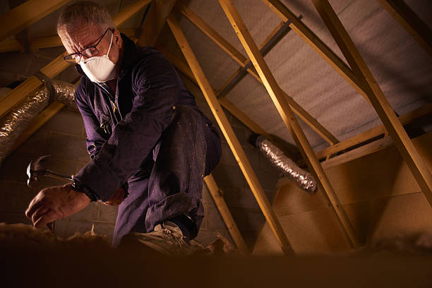 Best Professional Insulation Contractor  in India Hook, SC