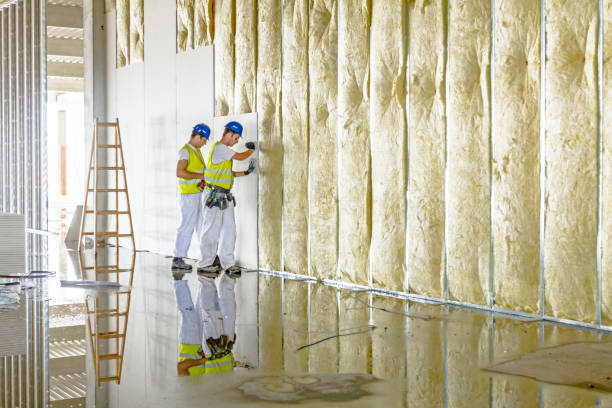 Best Spray Foam Insulation  in India Hook, SC